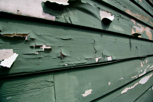 Best Residential Junk Removal  in Calhoun City, MS