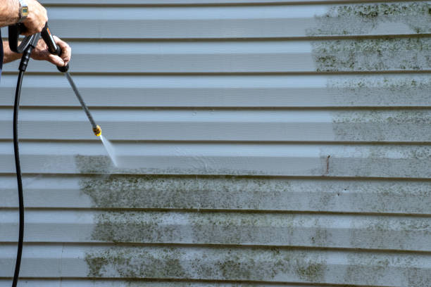 Best Garage Cleanout  in Calhoun City, MS
